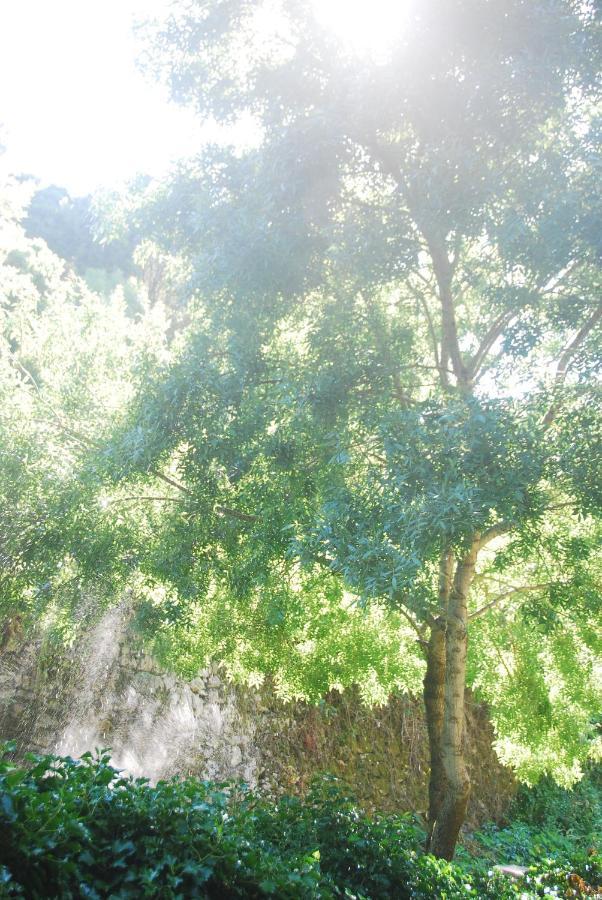 Sintra Center Guest House Escape To Nature Eksteriør bilde