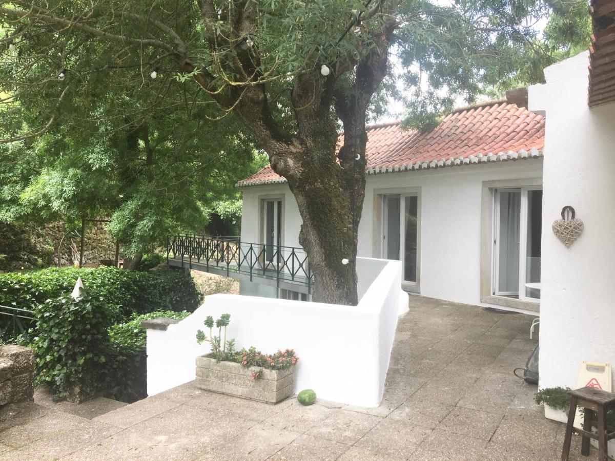 Sintra Center Guest House Escape To Nature Eksteriør bilde