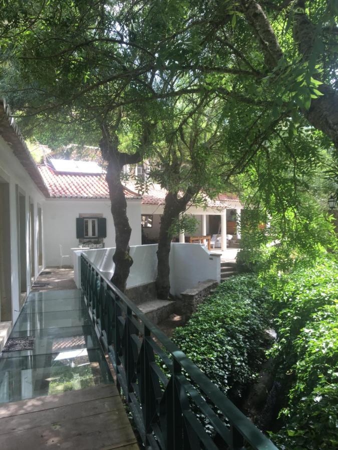 Sintra Center Guest House Escape To Nature Eksteriør bilde