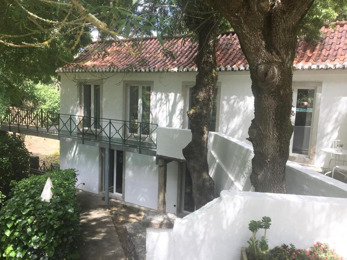 Sintra Center Guest House Escape To Nature Eksteriør bilde